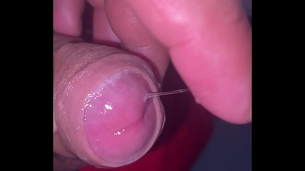 Pekeshow1620 - update #16 - 6B3B3D4C-2069-49F3-97EA-607A8F23FEED - Mar 23, 2025