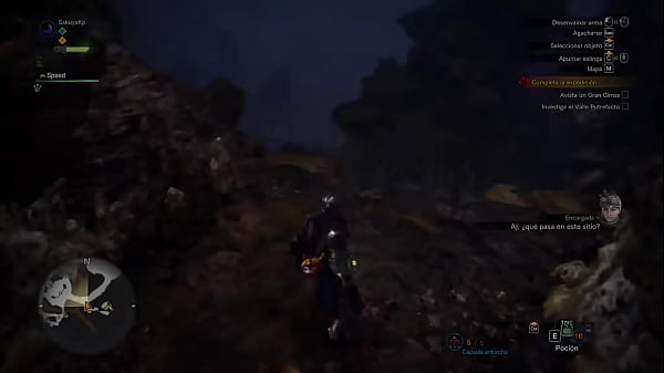 Monster Hunter World #9