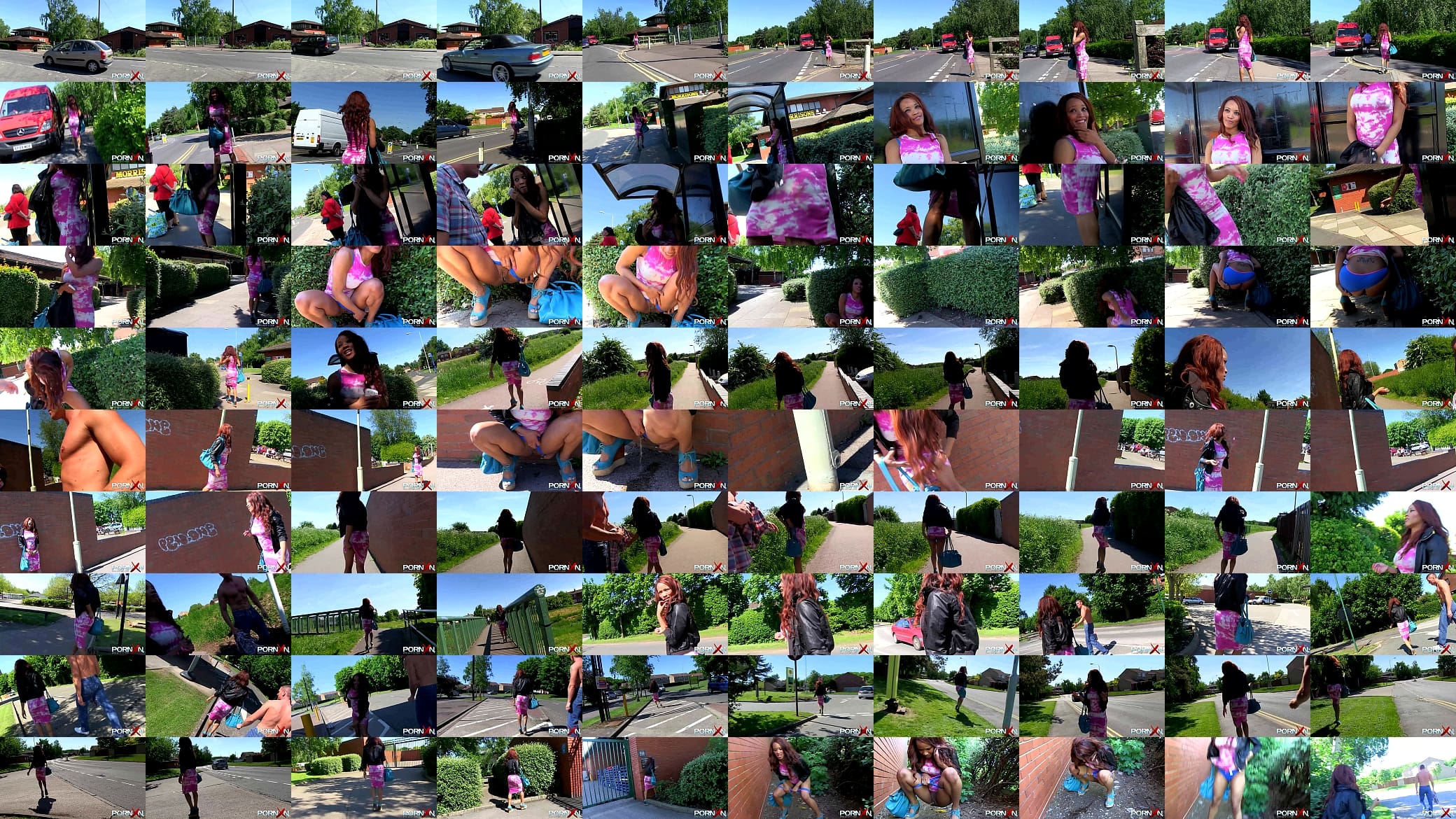 Redhead ebony goddess pissing outdoors 预览图
