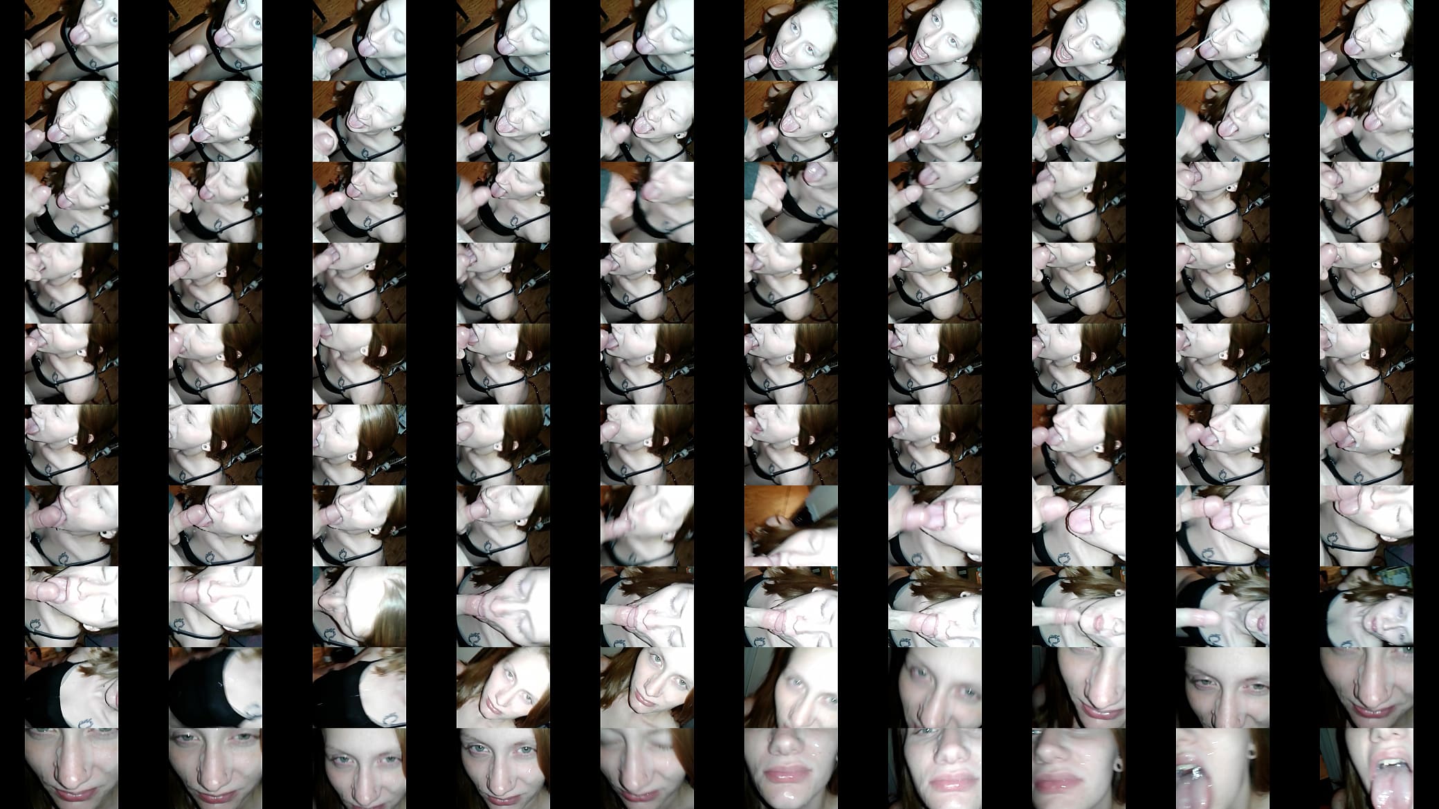 Facial 预览图