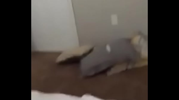 White old suckin young cock