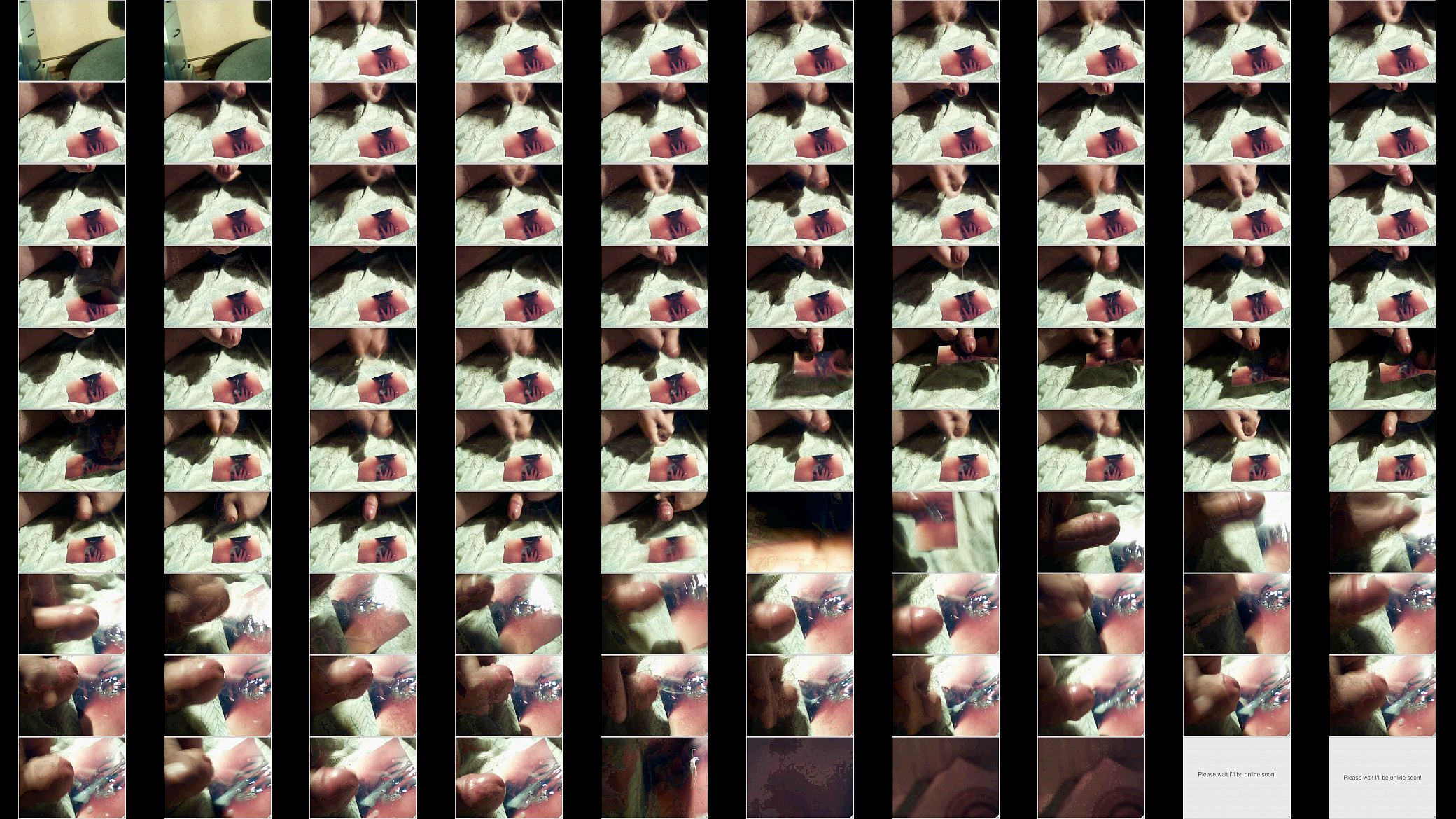 Tribute to Littlefox for Faszomat 预览图