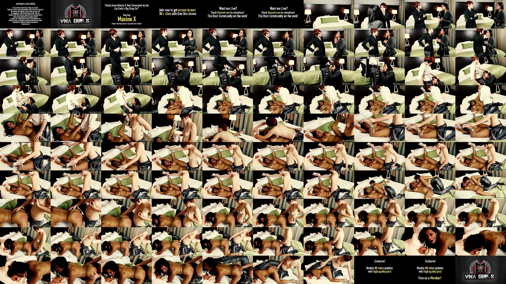 Busty Asian Maxine X Gets Dominated by hot Lily Cade&#039;s Big Strap On! 预览图