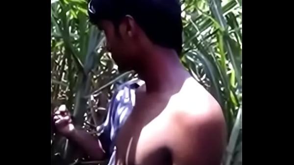 Sex In Forest   Latest Funny Whatsapp Video 2016