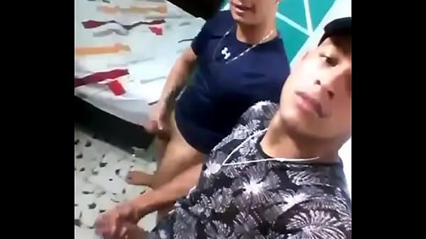 Download Video - Tr&ecirc;s brother se pegando