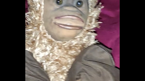 monkey trapper fuck listening to funk 33 sec