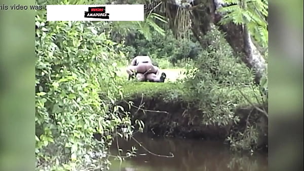 Couple from the countryside is caught having sex in the bush