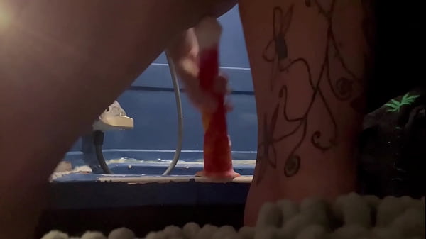 Estoy soltera y buscando un chico que me deje cabalgar a si su polla mientras tengo un dildo en el culo