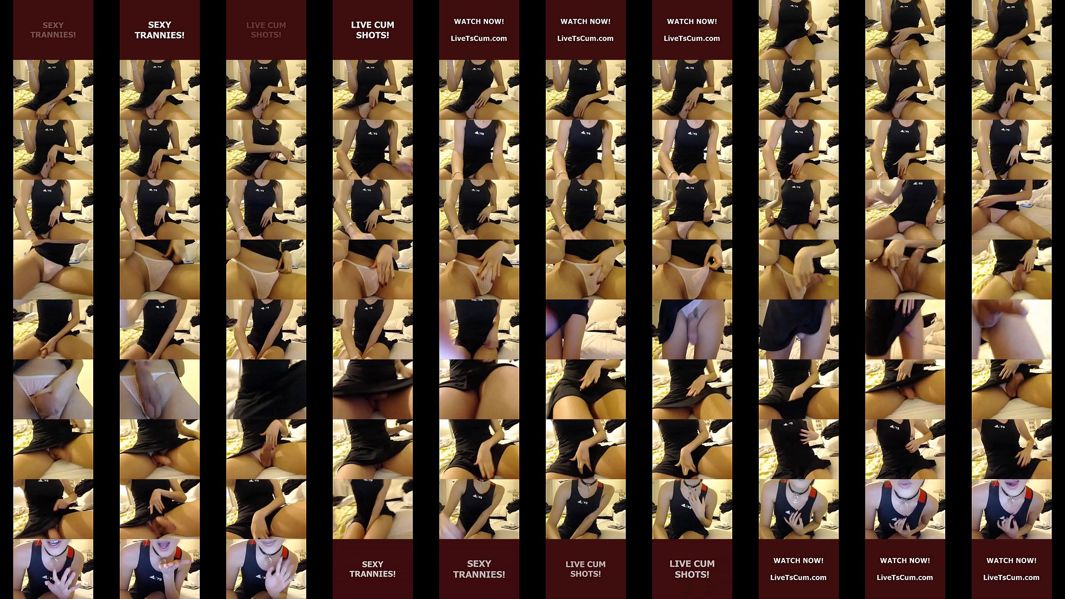 Live Ts Cum 168 预览图