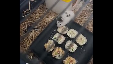 アジア