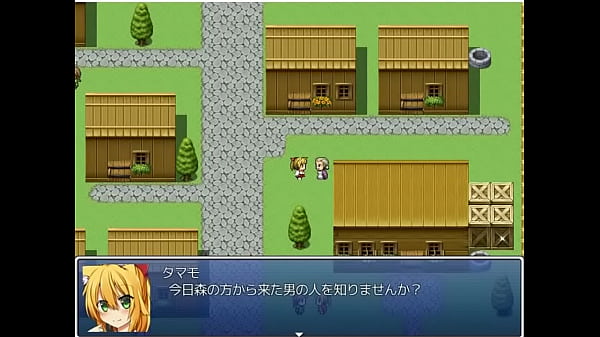 ( 18 ) H RPG Games Fox Girl Tamamo's Repayment #1