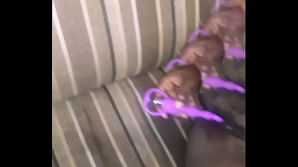 The Life Of The Nymphomaniac