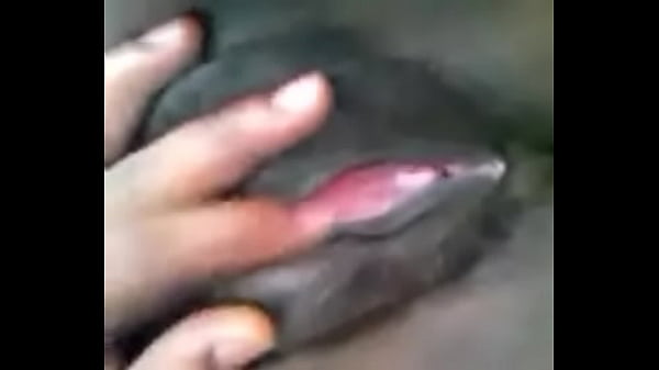 Xvideos 909be01c553b5cbd1786a4e9929208ba