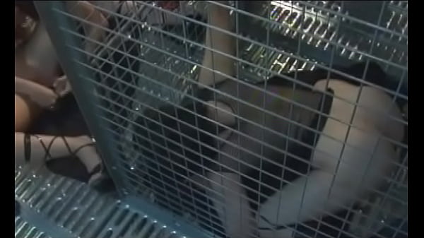 Fascinating Sweetheart Enters Her Cage