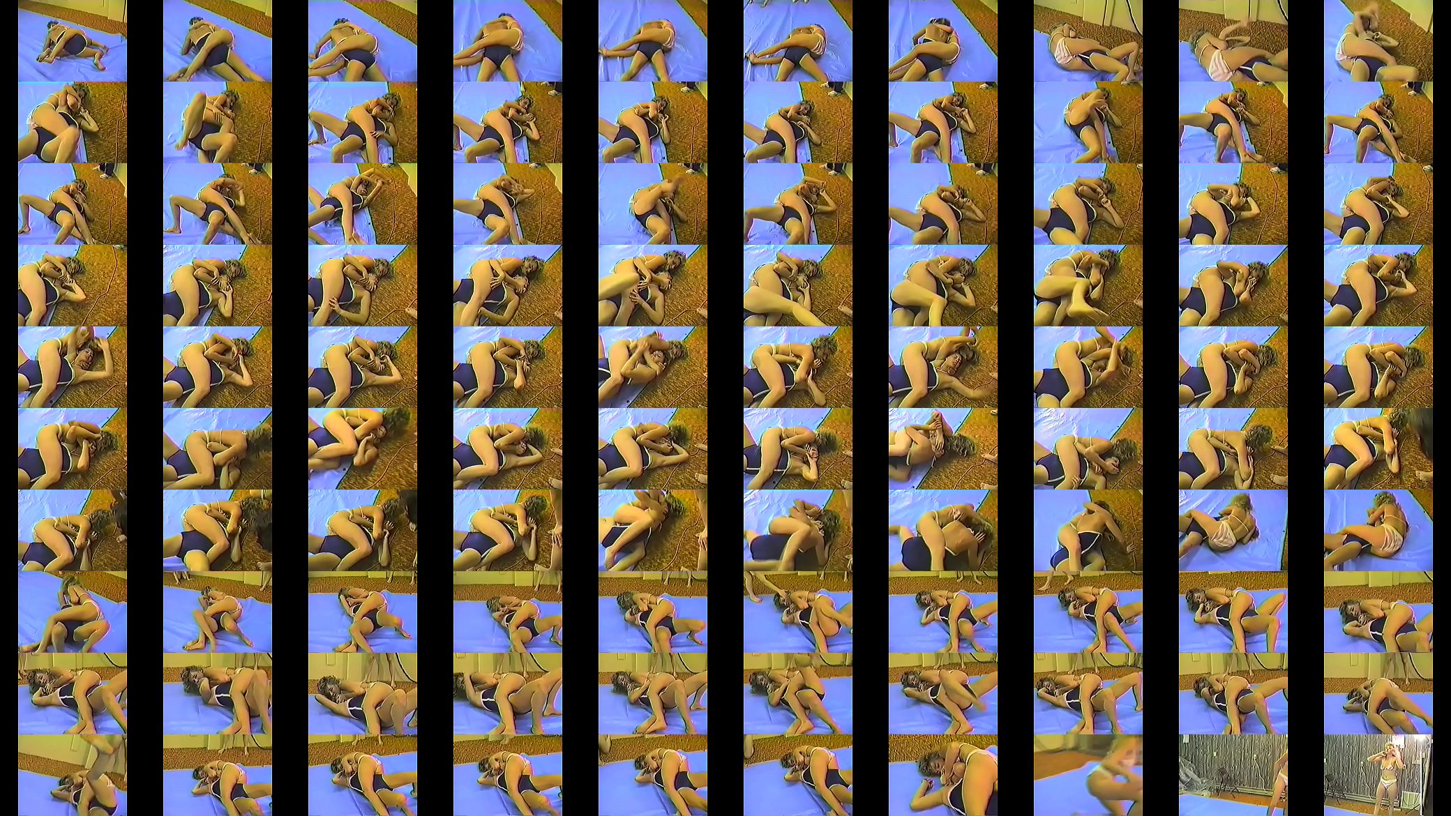 Stubborn Resistance Proved Futile 预览图