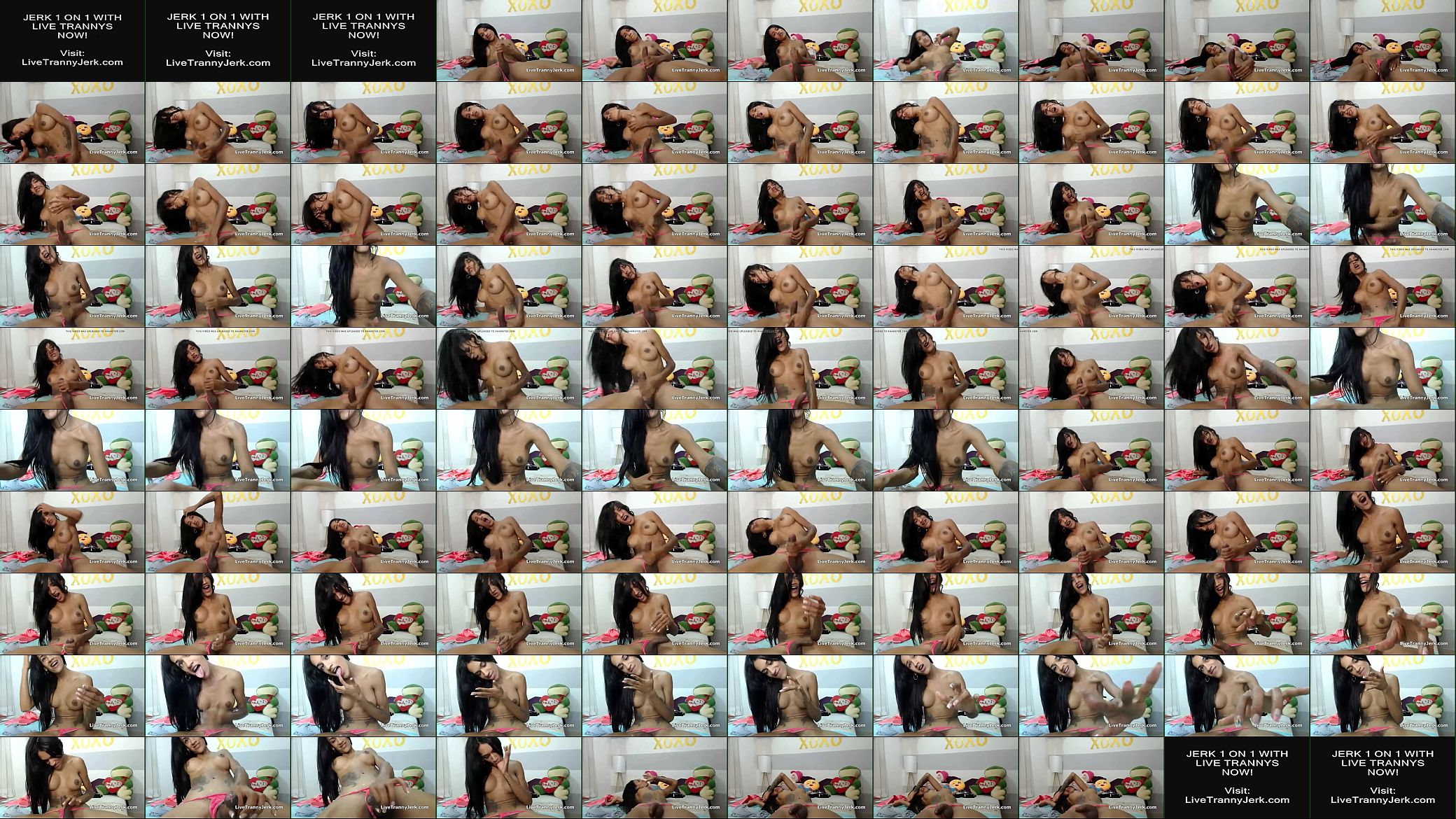 Sexy Latina tranny strokes &amp; cums 预览图