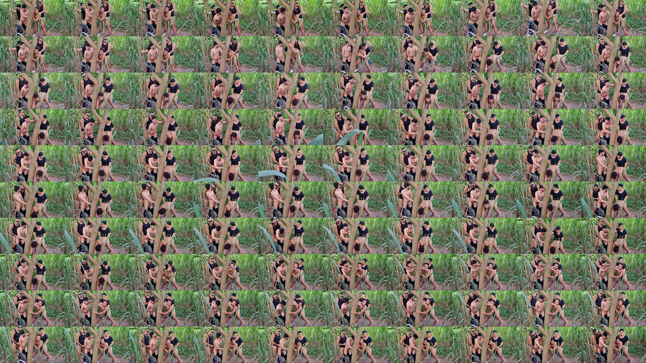 orgia de machos nas trilhas da fazenda 预览图