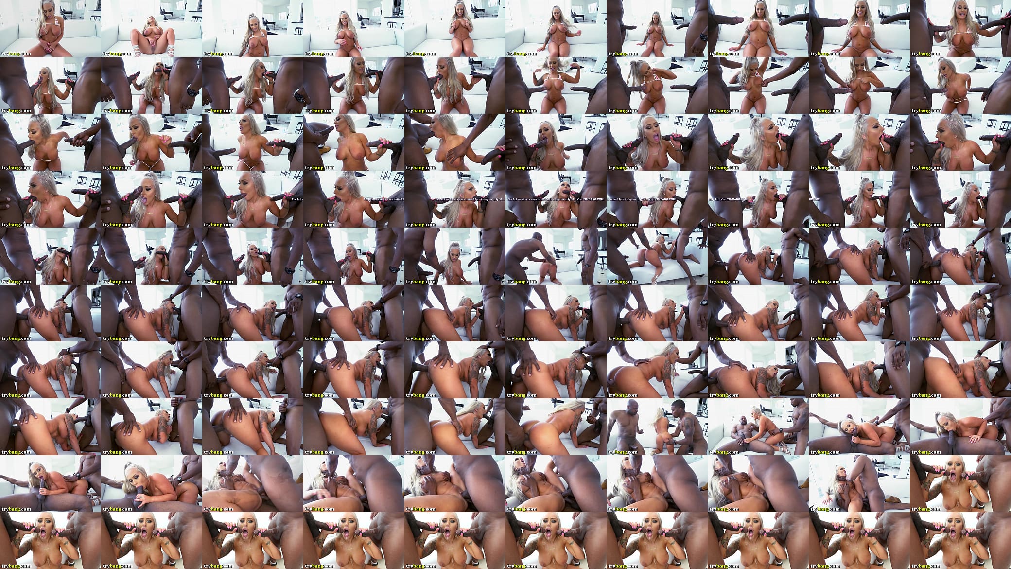 Brandi Bae Receives Two Big Black Cocks From Prince Yahshua and Isiah Maxwell 预览图
