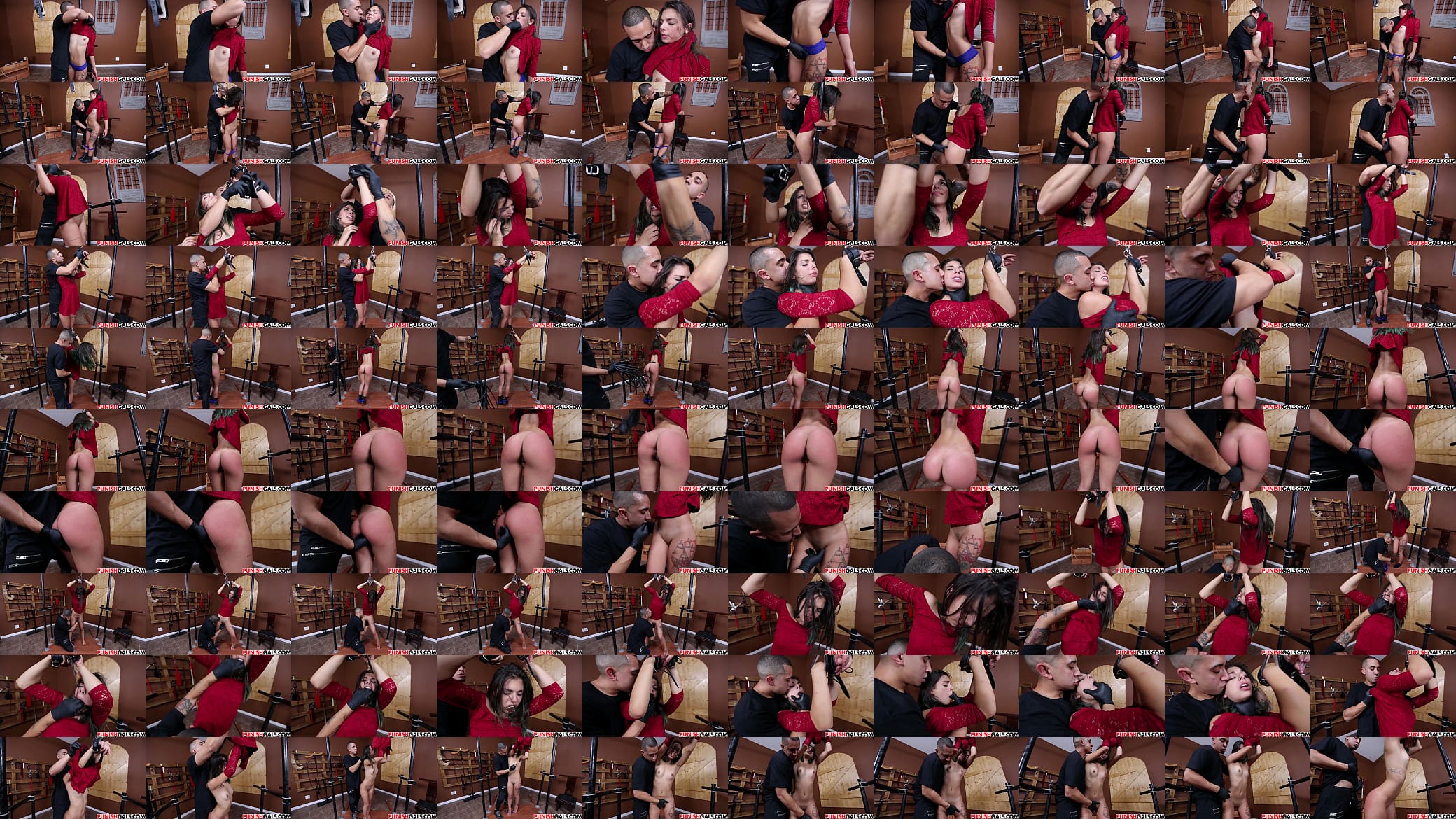 Punishment and domination 预览图
