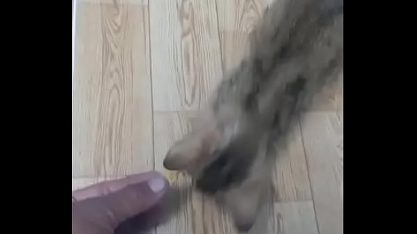 Video x&aacute;c minh