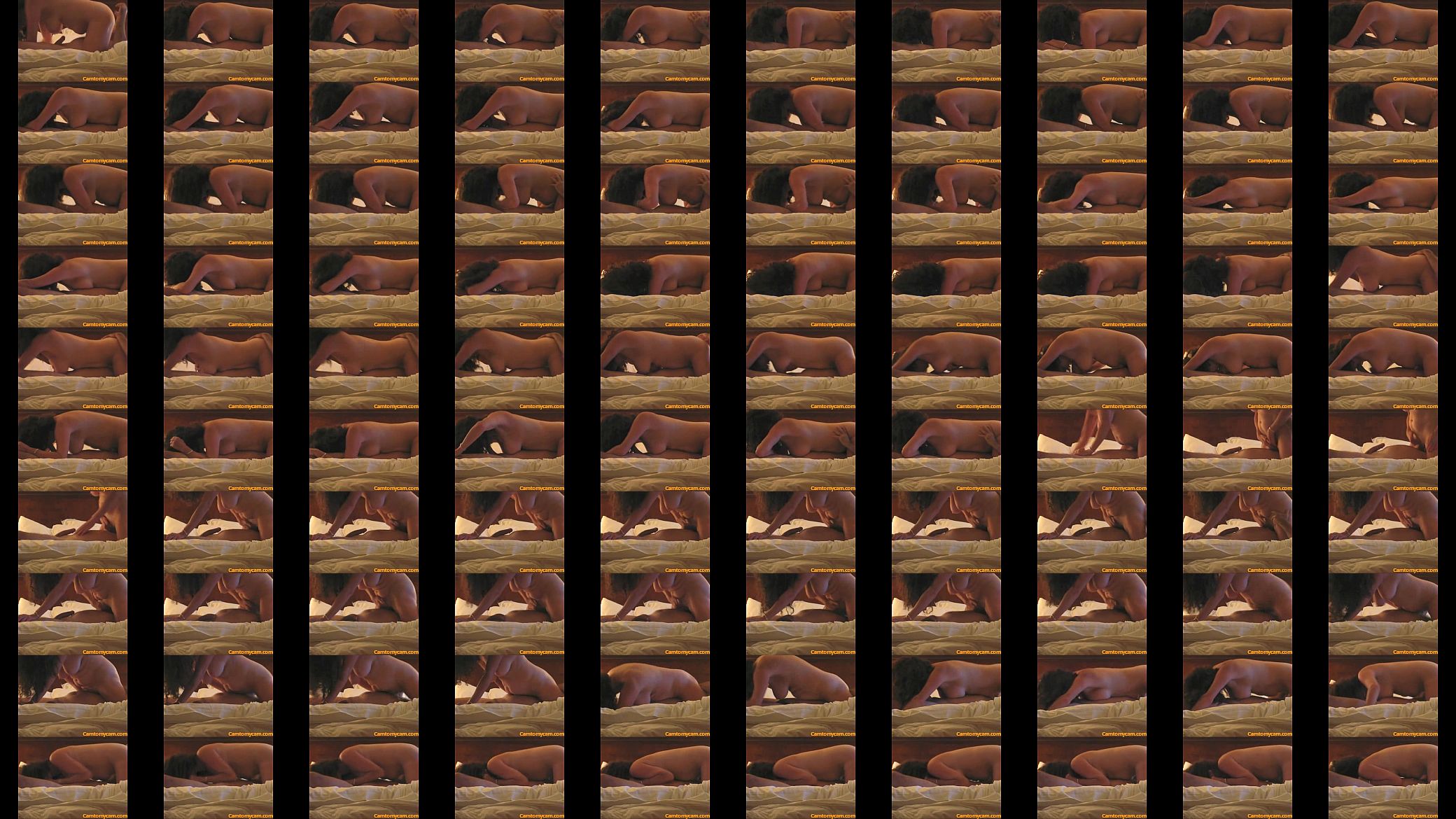 camtomycam (2) 预览图