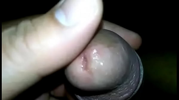 2d38f42a-b7f9-4178-ab71-9ffa1f83b51f