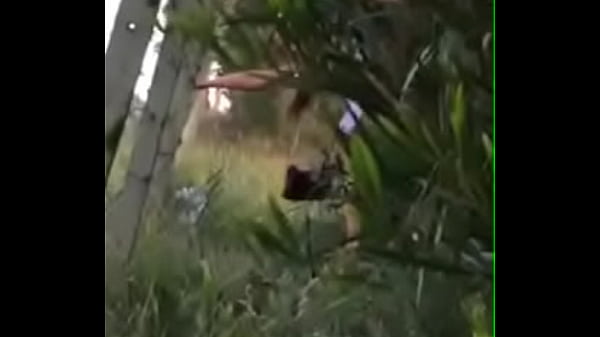 Video Parana, Fiesta Premiere