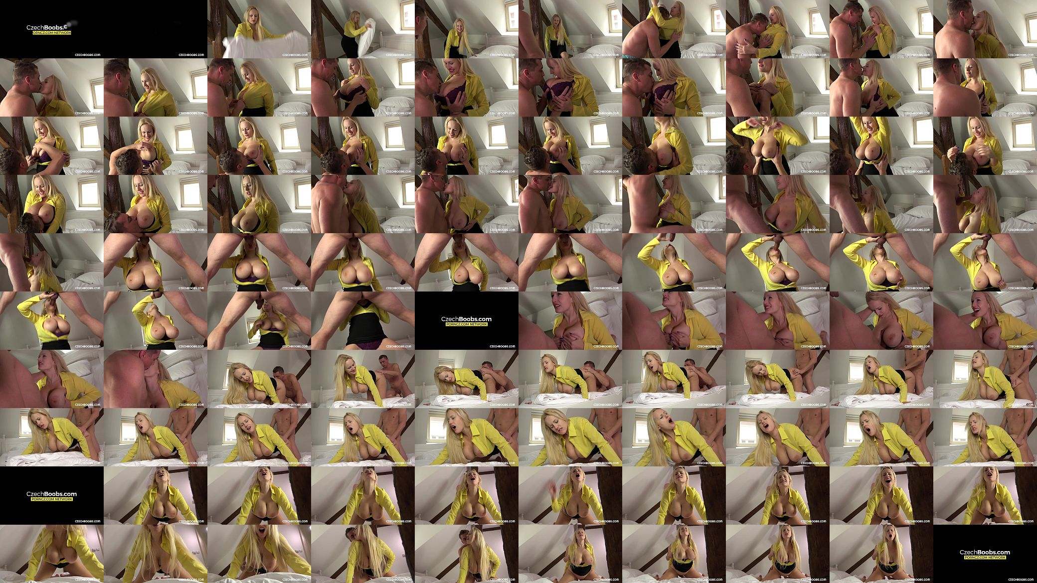Czech BOOBS 预览图