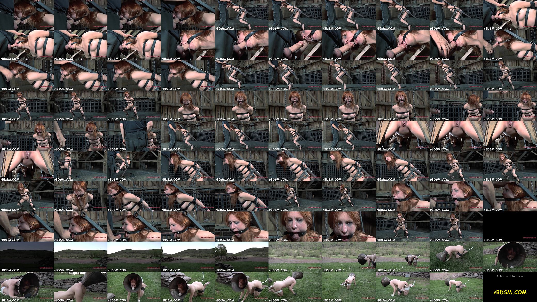 Thraldom bdsm 预览图
