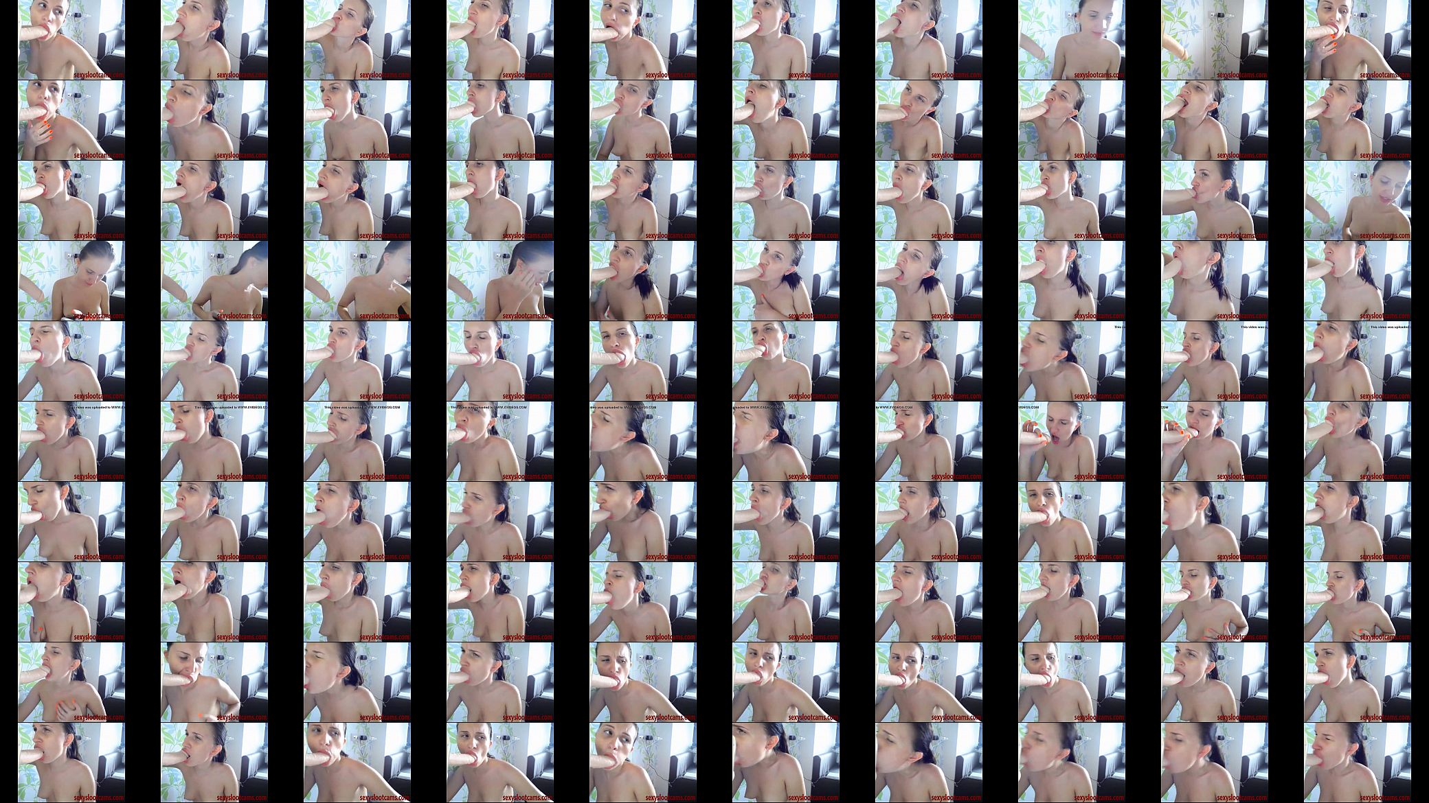 camwhore sucks dildo dick 预览图