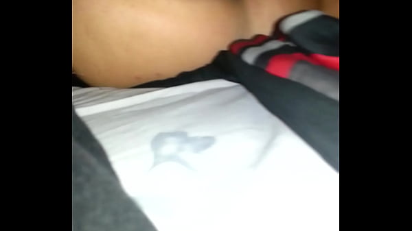 cats big booty