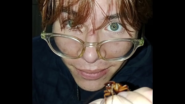 Mi mascota cucaracha Blanca