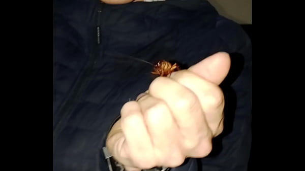 My step cousin cheated on me because I had a relationship with her and then I looked for these whores and serious while I was fucking them