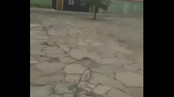 acabei de comer a mãe do Berlim, Agora vou comer a mae do cara que travou meu zap