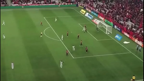 ARGENTINO FODENDO PARANAENSE SEM DÓ