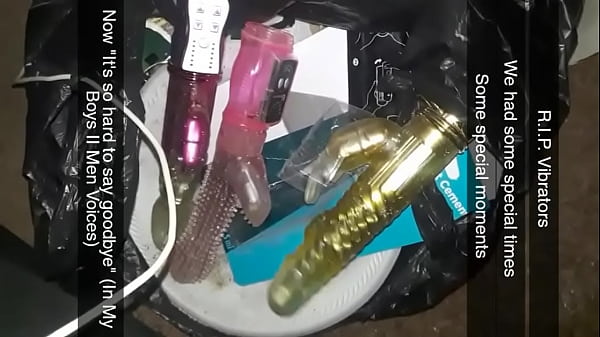 R.I.P. To a few toys. Still have over ten vibrators