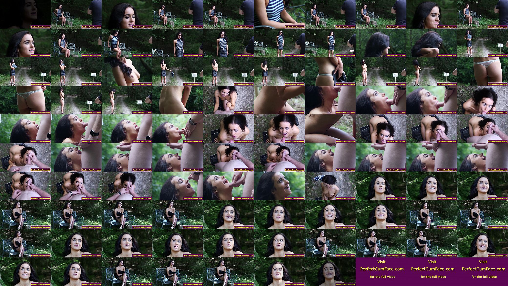 Outdoor brit cocksucking for facial cumshot 预览图