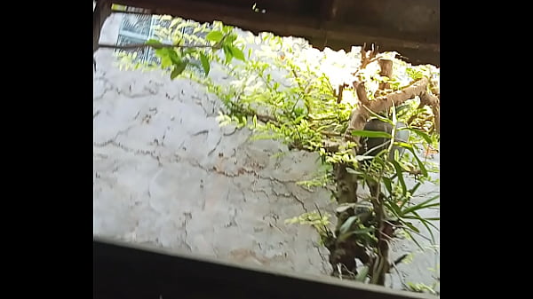 Video xác minh