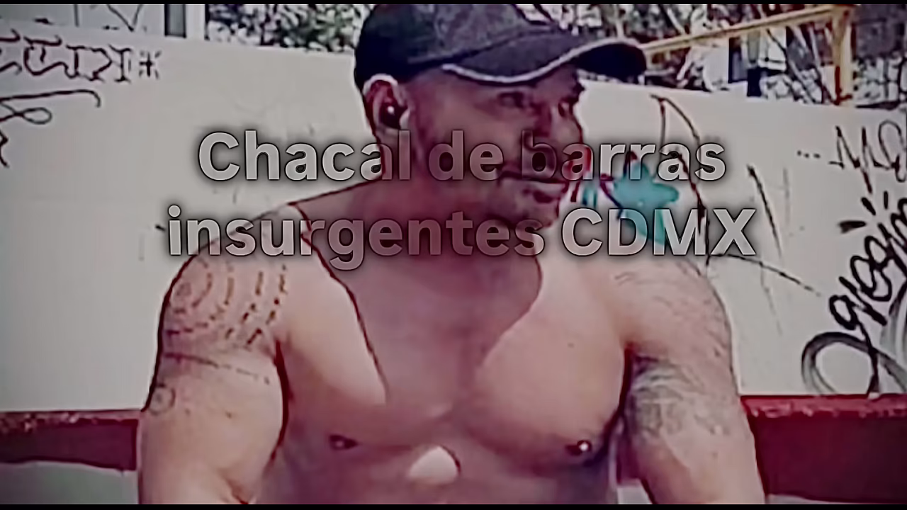 Chacal de barras insurgentes es humillado como puta marica a cambio de algo de dinero