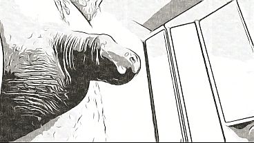 I gave her a bouquet of white lilies. 3.4