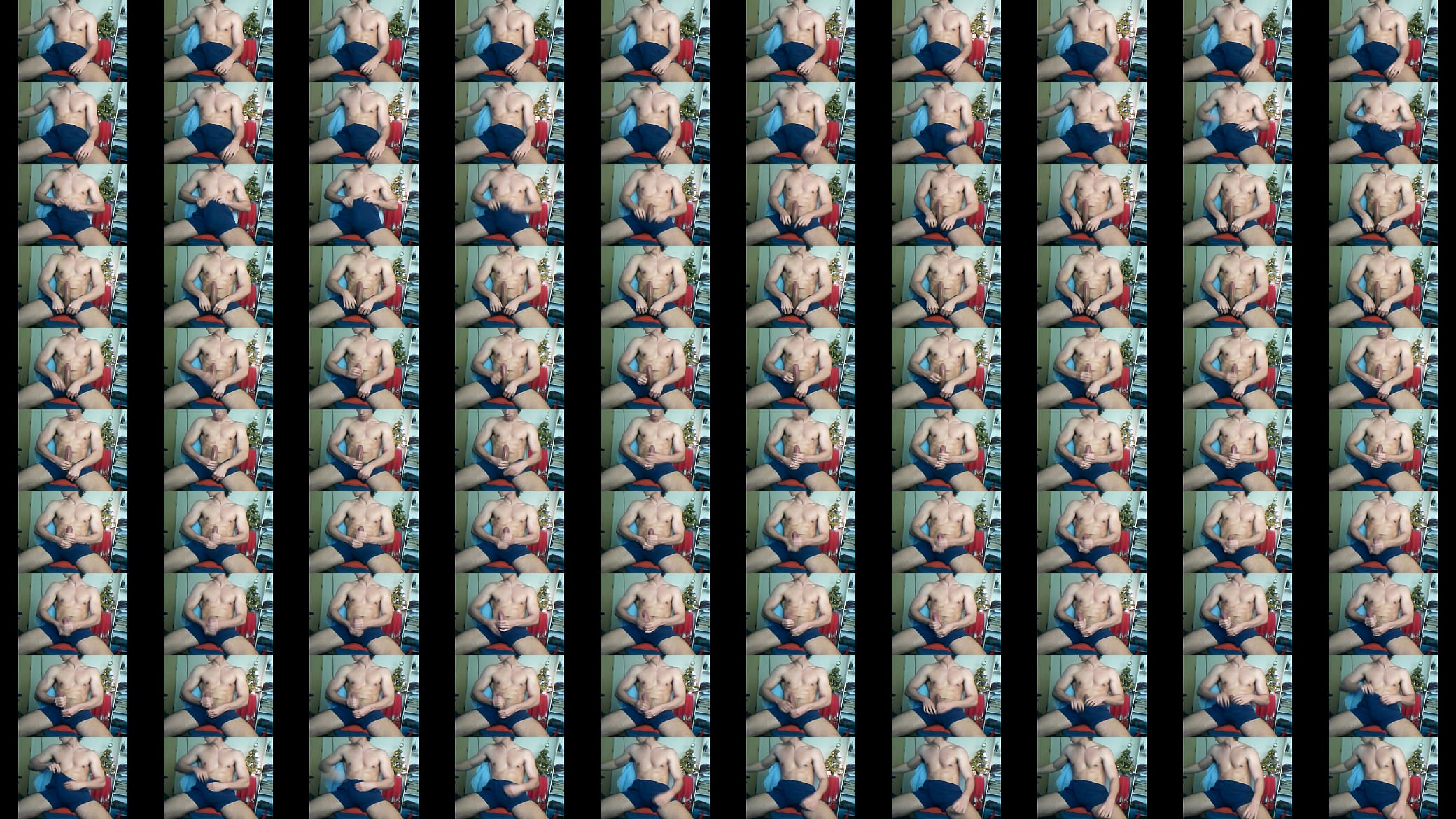 10inches dick  webcam 预览图