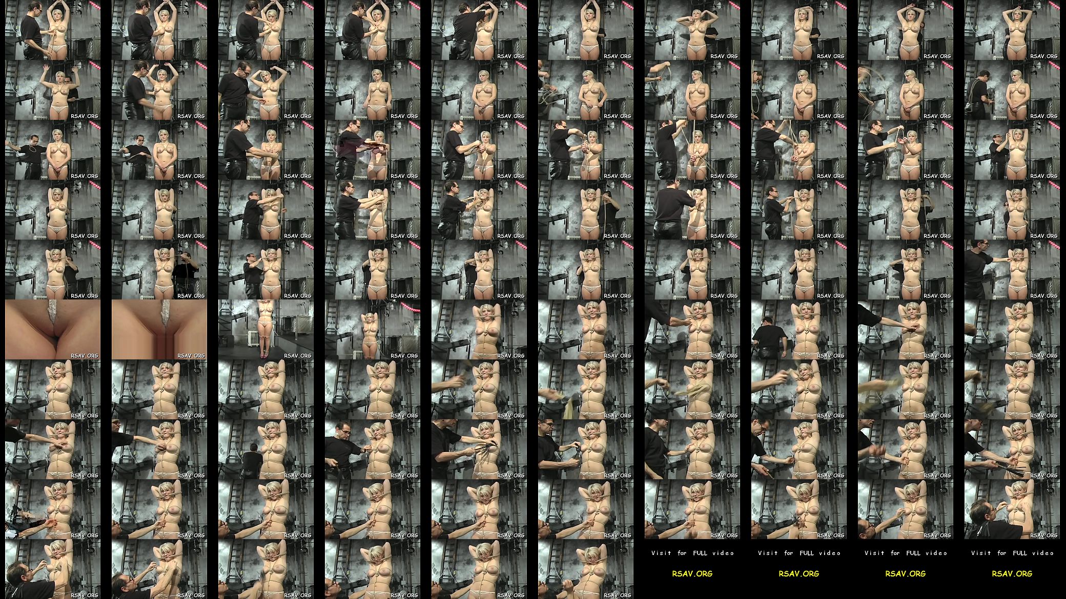 Two honeys bdsm scenery 预览图