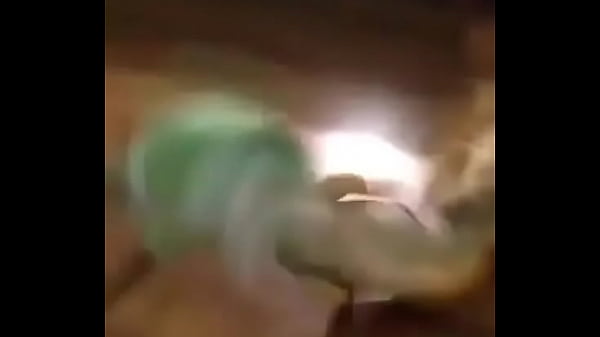 Vidéo De Vérification