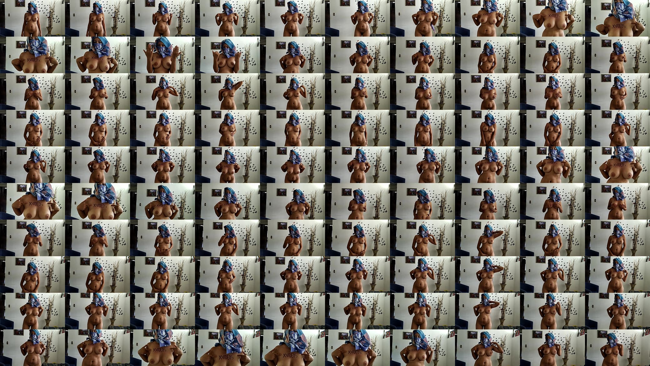 Verification video 预览图
