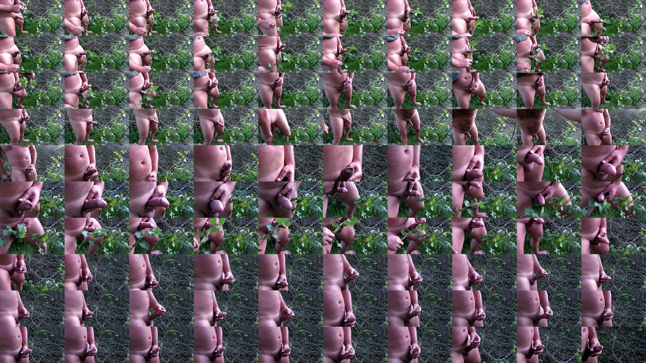 des orties sur ma bite dans la forets 预览图