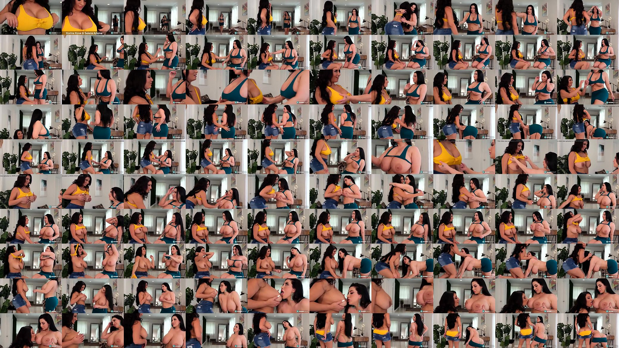 Huge tits brunettes Korina and Selena 预览图