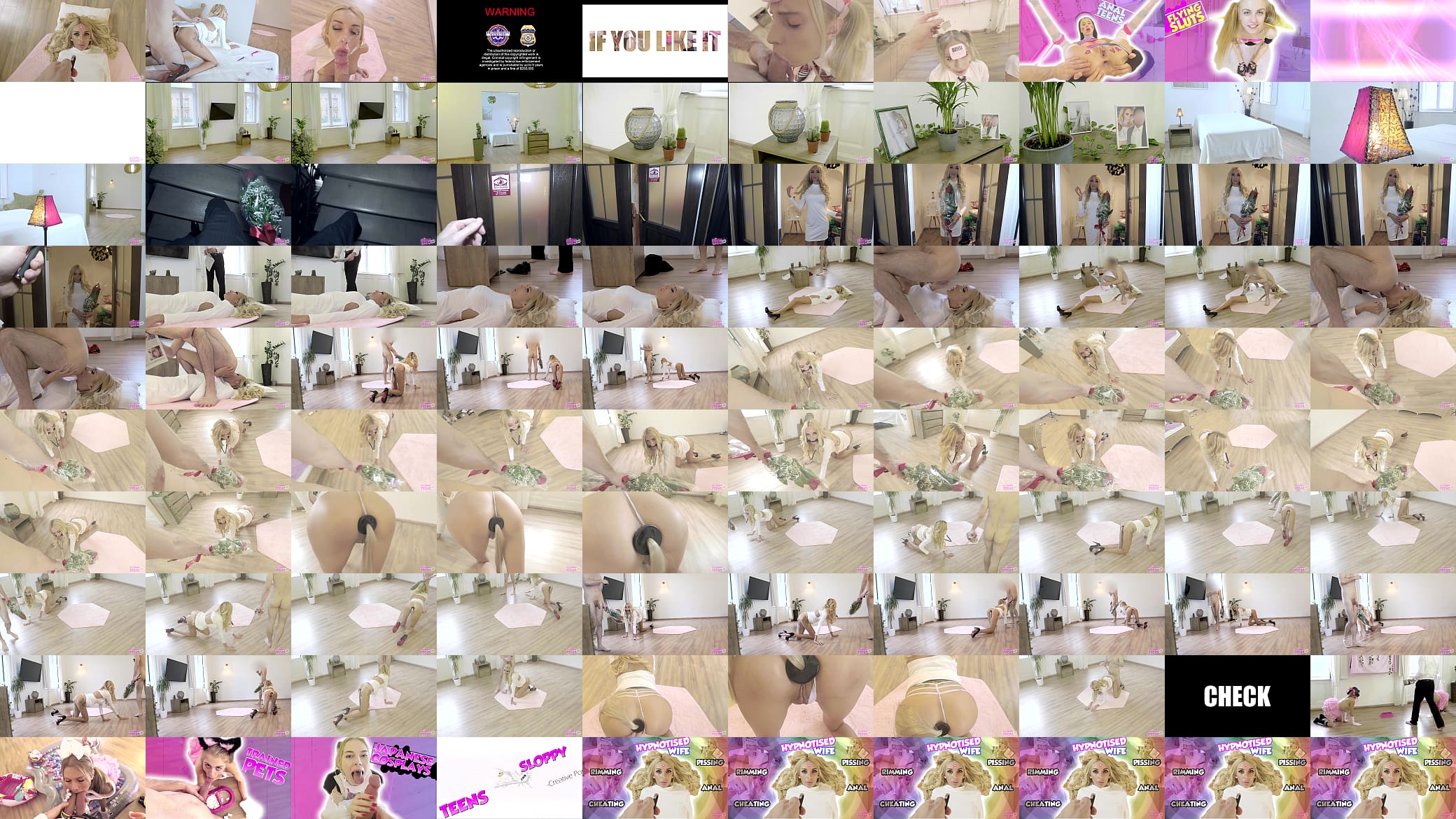Anita Blanche Cheating Wife 预览图