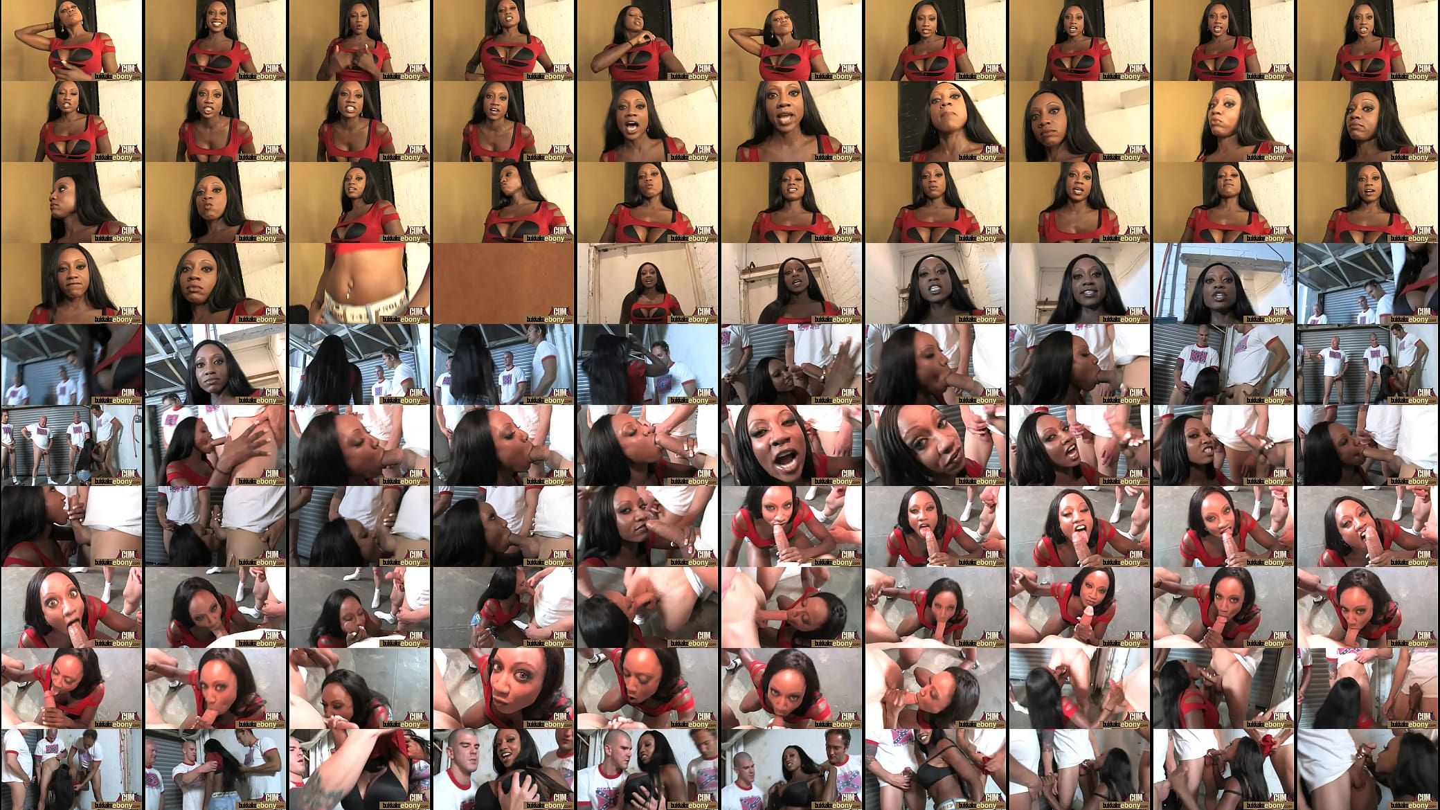 Different guys take turns fucking ebony and cum on her face 24 预览图