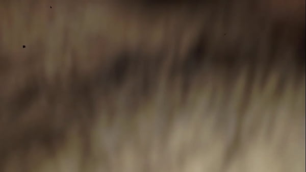 trim.CE56C714-778B-40EF-99AA-8B8469EA9755.MOV