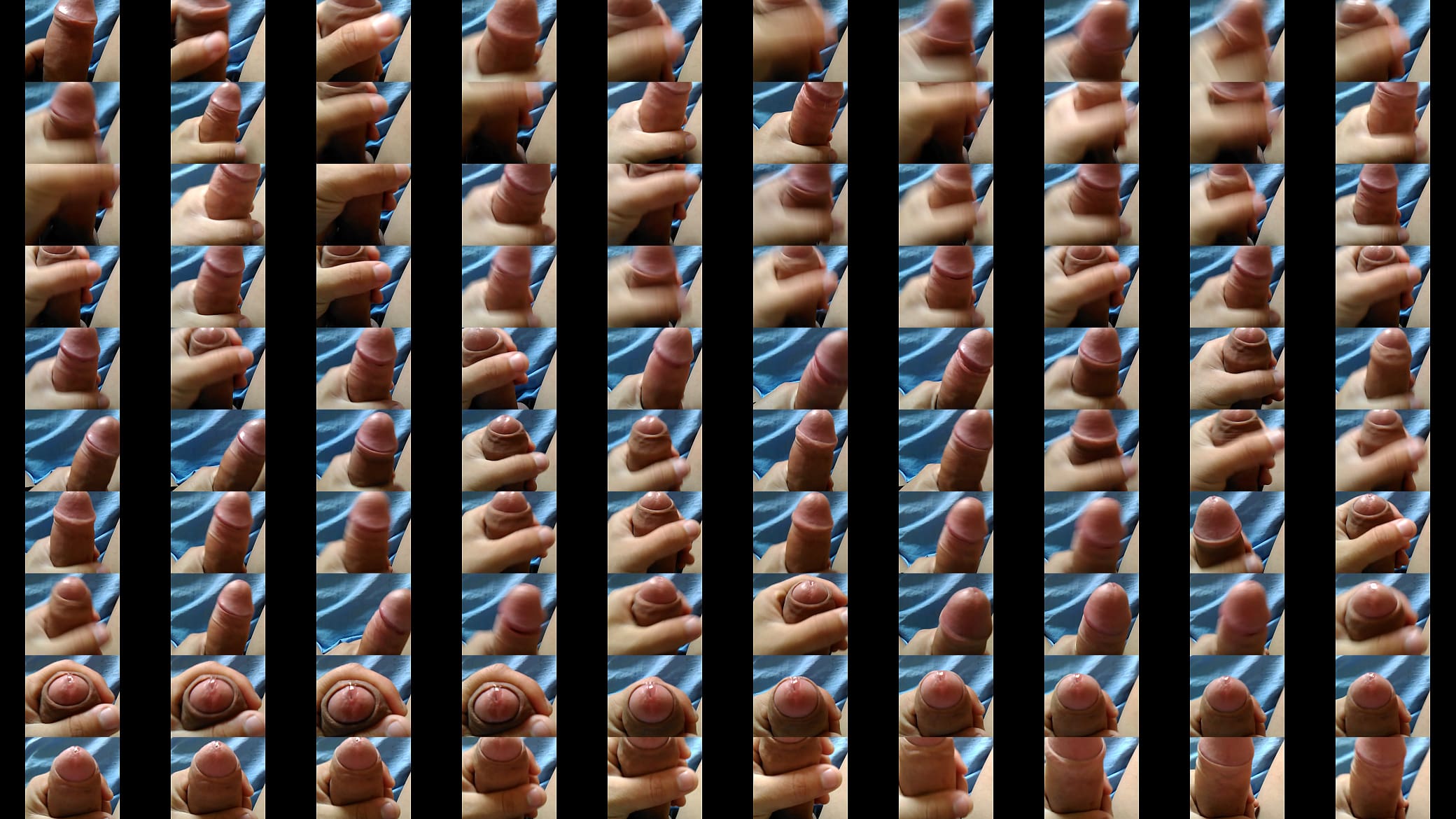 Paja 预览图